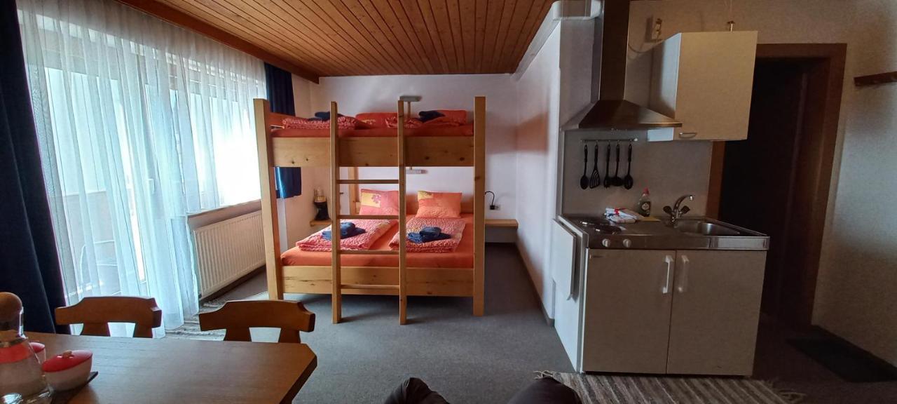 Апартаменты Studio Hochzillertal Mit Sauna & E-Ladestation Рид-им-Циллерталь Экстерьер фото